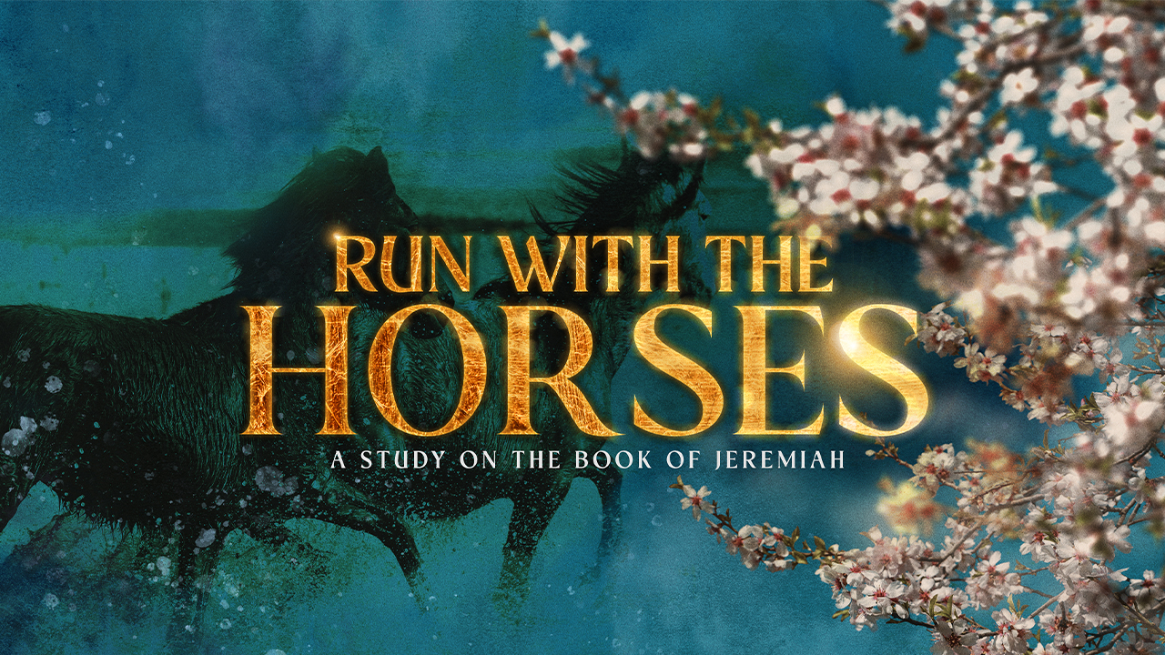 Run With The Horses